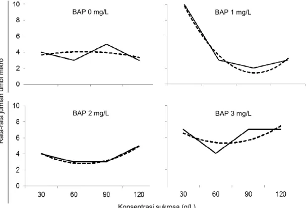 Gambar 5. Pengaruh peningkatan konsentrasi sukrosa terhadap jumlah umbi mikro pada media dengan konsentrasi  BAP yang berbeda (BAP 0, 1, 2, dan 3 mg/L) 