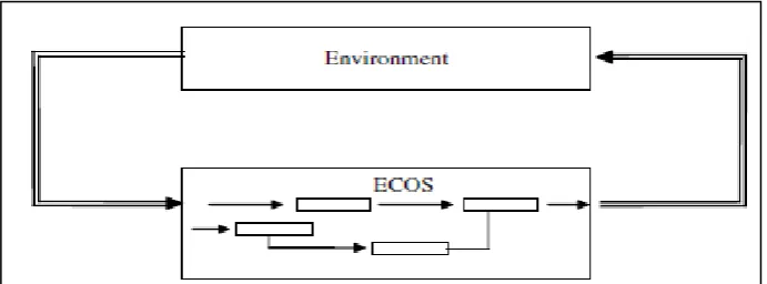 Gambar 2.8 Arsitektur ECOS (Kasabov, 2007) 