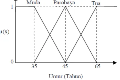 Gambar 2.2 Contoh grafik himpunan fuzzy pada variabel umur (Amiruddin,2011) 