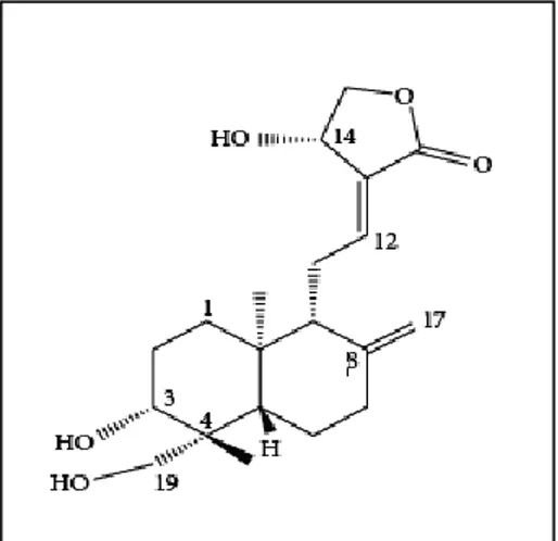 Gambar 2.2. Struktur kimia andrografolid (Jayakumar et a.l, 2013) 