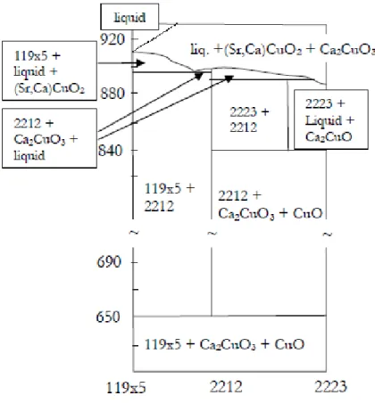 Gambar 2.5 Diagram Suhu Versus Konsentrasi (Skematis) Berada dalam Kisaran    antara Bi 2 Sr 2 CuO 6  dan Bi 2 Sr 2 Ca 2.6 Cu 3.6 O 11.2  (Majewski, 1997)
