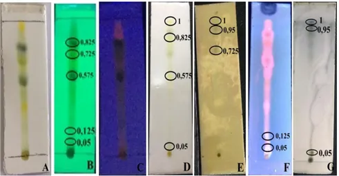 Gambar  5.  Profil  KLT  ekstrak  etanol  daun  sirsak  dengan  fase  gerak  n-heksan:etil  asetat  (6:4)   sebelum  diberi  pereaksi  dilihat  pada  sinar  tampak  (A),  UV  254  nm  (B),  UV  366  nm  (C),  setelah  diberi peraksi Dragendorff (D),  FeCl 