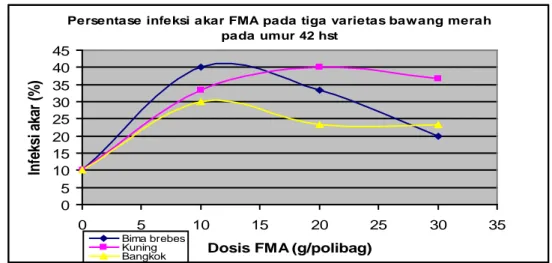 Gambar 4. Persentase infeksi akar oleh FMA pada tiga varietas bawang merah umur 42 hst