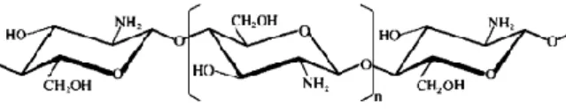 Gambar 1.1 Struktur kimia Kitin [13] 