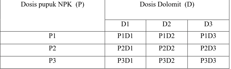 Tabel 3.1. Kombinasi Perlakuan Dosis Pupuk NPK dan Dolomit.