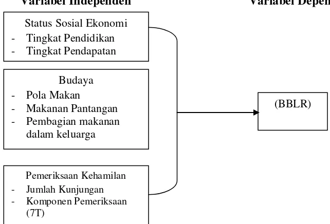 Gambar 2.1. Kerangka Teori Penyebab Terjadinya BBLR 