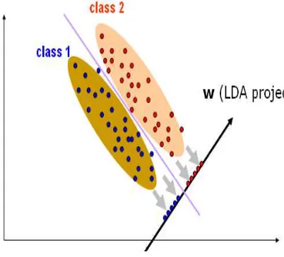 Gambar 1. Proyeksi data 2 kelas 