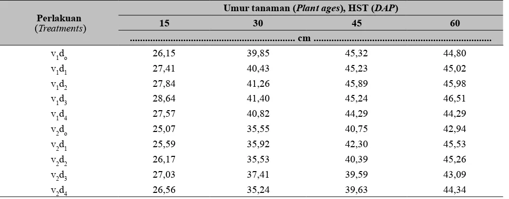 Tabel 4.  Pertumbuhan tinggi tanaman bawang merah (Growth of shallots plant height)