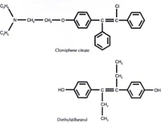 Gambar 11. Struktur kimia CC dan Diethylstilbestrol (DES). (Dikutip dari 