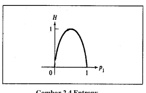 Gambar 2.4 Entropy 
