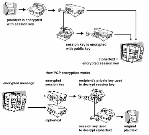 Gambar 1. Cara kerja PGP encryption dan decryption 