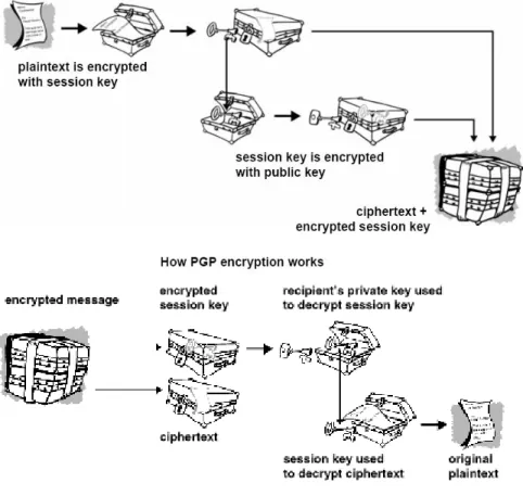 Gambar 1. Cara kerja PGP encryption dan decryption 