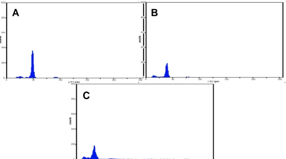 Figure  5.  The visualization of viability test of somatic embryogenic calli of pruatjan by using FDA: (A) control/beads, (B)  before freezing, and (C) after freezing 