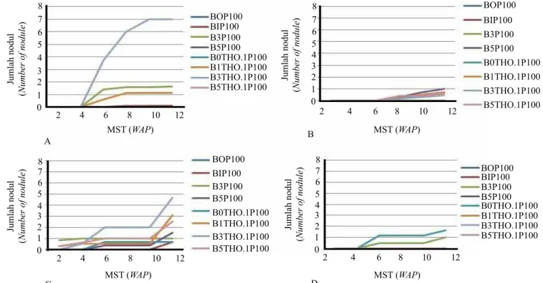 Gambar 2.  Waktu inisiasi dan jumlah nodul yang terbentuk dari eksplan bunga aksis pisang bergenom  AAB [(A) Kosta dan (B) Raja Bulu)] dan ABB [(C) Kepok, dan (D) Siem] [Initiation times and  number of nodules derived from floral axis of AAB (A) Kosta and 