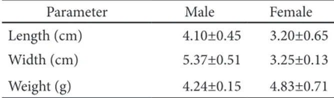 Table 1 menunjukkan bahwa keraca  betina memiliki bobot yang lebih berat bila  dibandingkan dengan jantan
