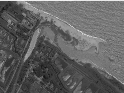 Gambar 2.2 Citra Wilayah Pesisir Desa Sei Naga Lawan Kecamatan Perbaungan Kabupaten Serdang Bedagai pada Tahun 2012 Sumber: Google Earth, 2014 