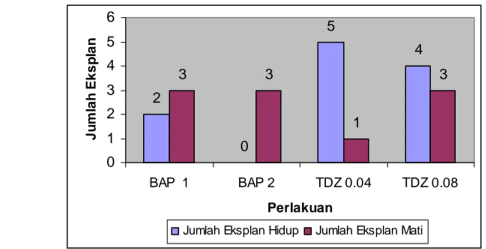 Gambar 2. Kultur tunas Pisang Rajabulu Polytani pada media (A) BAP 1 ppm,  (B) BAP 2 ppm, (C) TDZ 0.04 ppm  dan (D) TDZ 0.08 ppm pada 8 