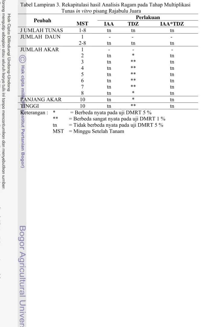 Tabel Lampiran 3. Rekapitulasi hasil Analisis Ragam pada Tahap Multiplikasi  Tunas in vitro pisang Rajabulu Juara 
