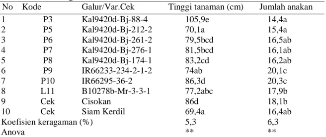 Tabel 3.  Tinggi tanaman dan jumlah anakan produktif galur-galur padi yang diuji di lahan  lebak dangkal, Tawar, MK 2004