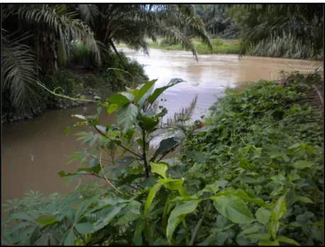 Gambar 4.5 Kondisi Saluran primer yang Telah Dilinning 