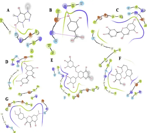 Fig. 4. 2D Diagrams of ligand interactions.glucose (G) Dihydroquercetin-7,4feoyl- (4.1) 2D interaction with 4L9S