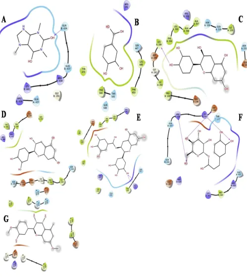Fig. 4. (continued).