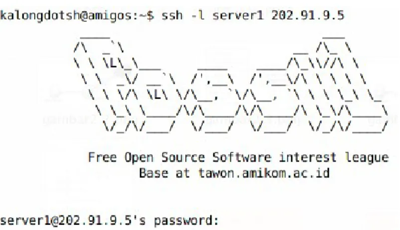 Gambar di atas menunjukkan bahwa siapa saja dapat mengakses port  22 atau  SSH  sehingga   ada   kemungkinan  hacker  menggunakan  brute-force   attack  dengan  memanfaatkan port 22 yang terbuka.