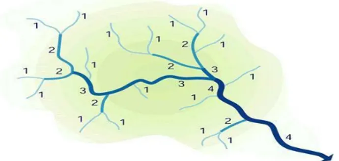Gambar 1. Jaringan sungai dan tingkatannya.( Triadmodjo, 2010) 