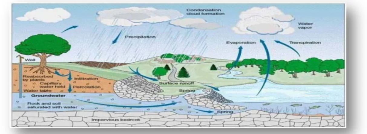 Gambar 2. Siklus hidrologi dan limpasan permukaan.( Triadmodjo, 2010) 
