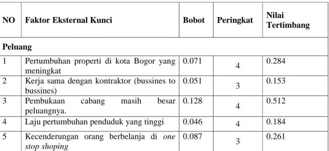 Tabel 4.6 matriks EFE 