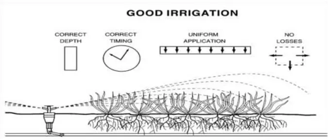 Gambar 1. Prinsip praktek irigasi yang baik  B. Tujuan 