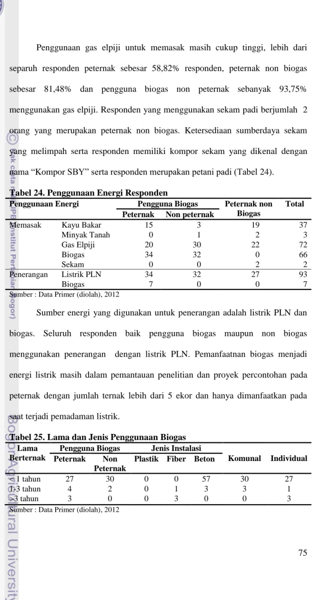 Tabel 24. Penggunaan Energi Responden 