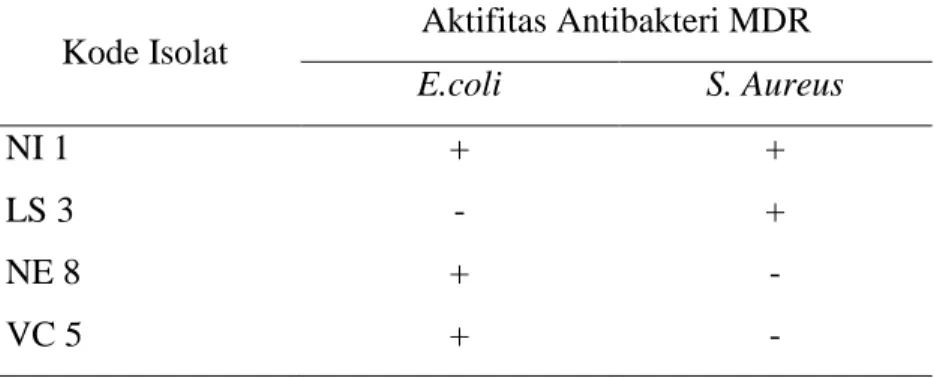 Tabel 2. Hasil uji kualitatif antibakteri MDR dari bakteri isolat   Kode Isolat  Aktifitas Antibakteri MDR 