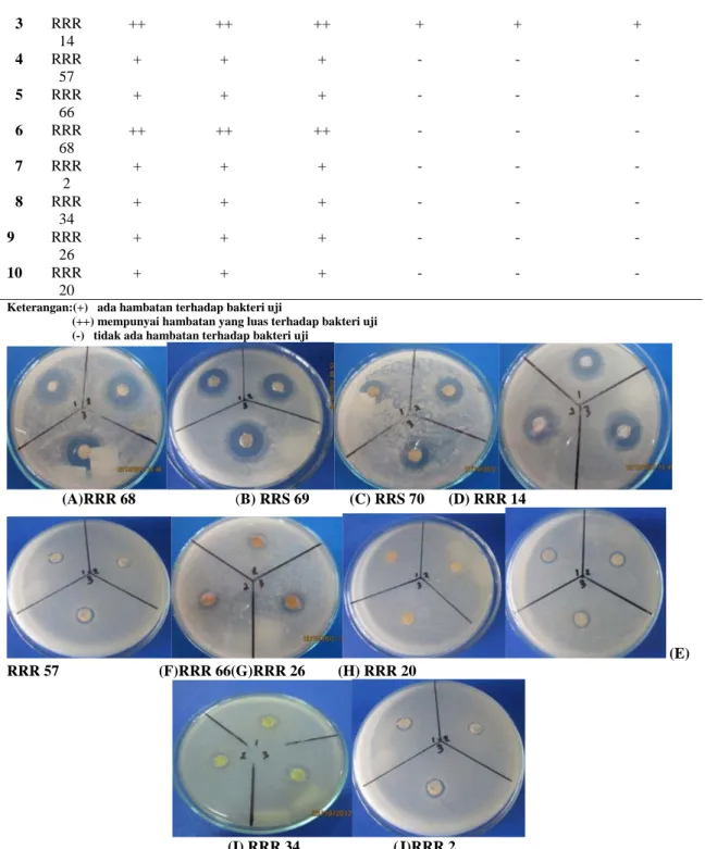 Gambar 3. Hasil uji potensi isolat sebagai penghasil antibiotik dan uji daya hambatnya terhadap bakteri  uji Bacillus subtilis 