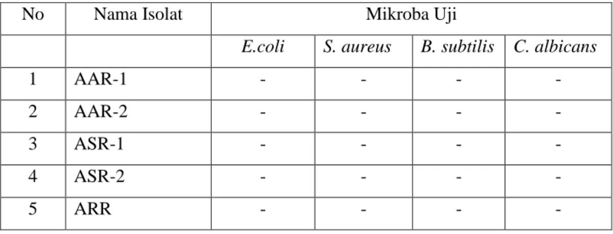 Tabel  3  :  Hasil  pengamatan  terhadap  pembentukan  zona  hambat  di  sekitar  kertas  cakram pada masing-masing isolat actinomycetes terhadap mikroba uji