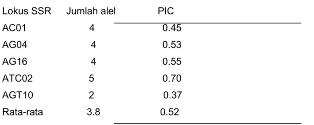 Tabel  3.  Analisis molekuler varian (AMOVA) populasi adult berdasarkan lima lokus SSR  