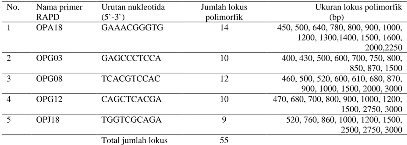 Tabel 1.   Nama  primer  RAPD  dan  urutan  nukleotida  yang  digunakan,  jumlah  lokus  dan  ukuran  lokus  polimorfik menggunakan 48 anakan alamulin  