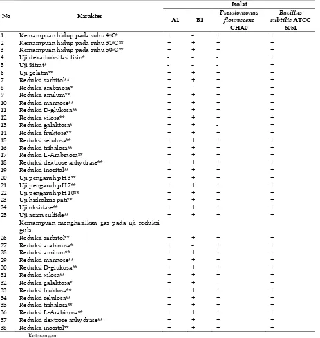 Tabel 1. Karakter fenotipik bakteri endofit 