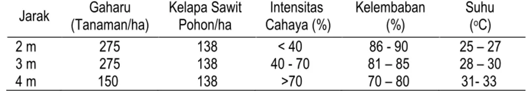 Tabel  1.  Jarak tanaman gaharu dari kelapa sawit dan kondisi   iklim  mikro  