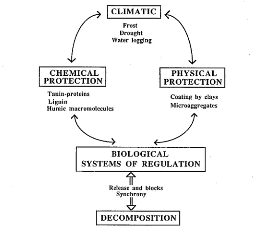 Fig. 9-1. Hierarchy of factors that determine microbial activity and eventually decomposition rates