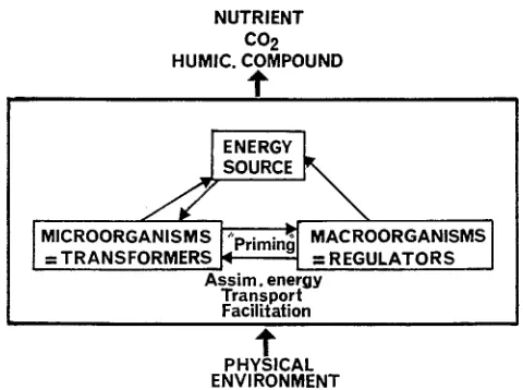Fig. 9-2. General organization of biological systems of regulations in soils (Lavelle, 1984)