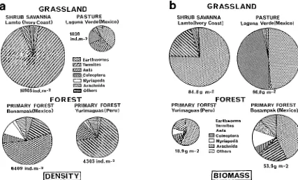 Fig. 9-4. Density (a) and biomass (b) structure of macrofauna communities in grasslands and forests of the humid tropics (Lavelle et al., 1981; Lavelle, 1983; Lavelle & Kohlmann, 1984; Lavelle & Pashanasi, 1989)