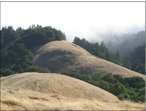 Fig. 1. Photograph (by AMH) of typical soil-mantled hillslope used for these and otherstudies focusing on upland hillslope processes