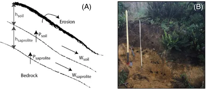 Fig. 2. (A) Schematic representation of the weathering mass transfers from bedrock and saprolite to soil