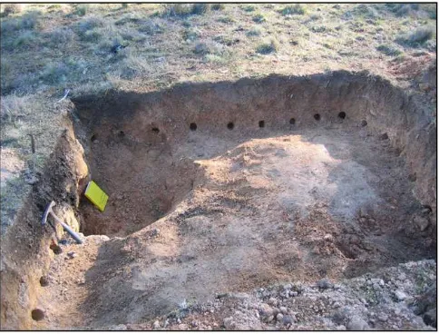 Fig. 3. Photograph (by AMH) of the FH 2-m pit. The west wall is on the far side of thequadrant is from the destruction of the pitwas sampled with a 50-cm grid, where the outermost samples were at the edge ofthe pit (three samples on each edge between the t