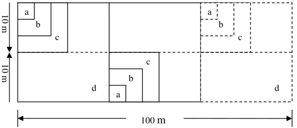 Gambar 4. Bentuk unit contoh metode garis berpetak dalam inventarisasi vegetasi   Jumlah jalur inventarisasi vegetasi pada setiap daerah pengamatan, adalah sebagai  berikut:  Linggarjati sebanyak 3 jalur, Palutungan  dan Seda sebanyak 2 jalur serta  Cibeur