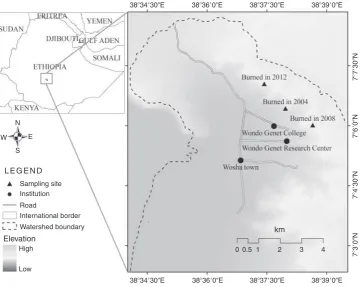 Fig. 1.Map of the study site. Sites are those burned in 2012 (B1-UB), 2008 (B5-UB) and 2004 (B9-UB)(B, burned; UB, unburned).