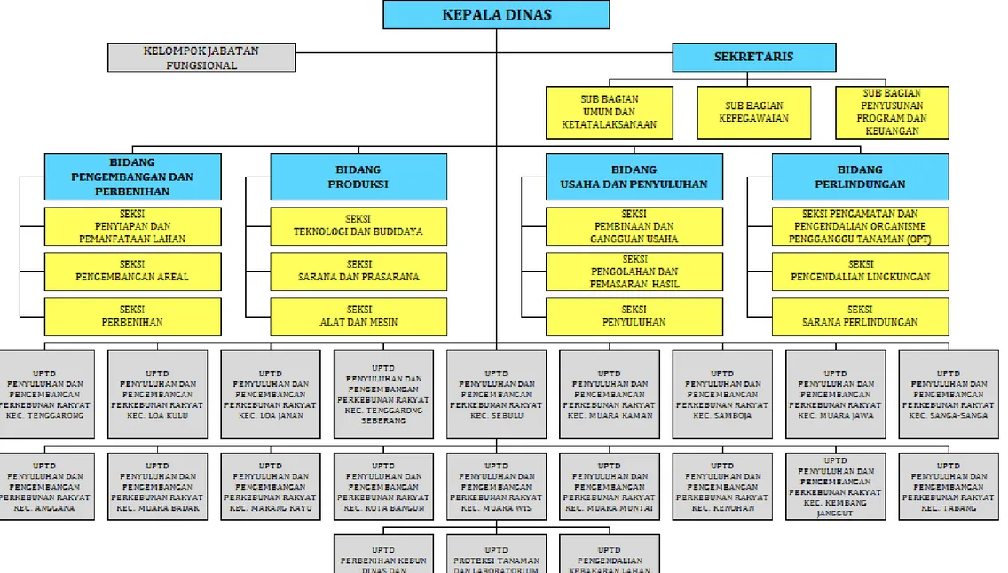 Gambar 2.1.   : Struktur Organisasi Dinas Perkebunan Kabupaten Kutai Kartanegara 