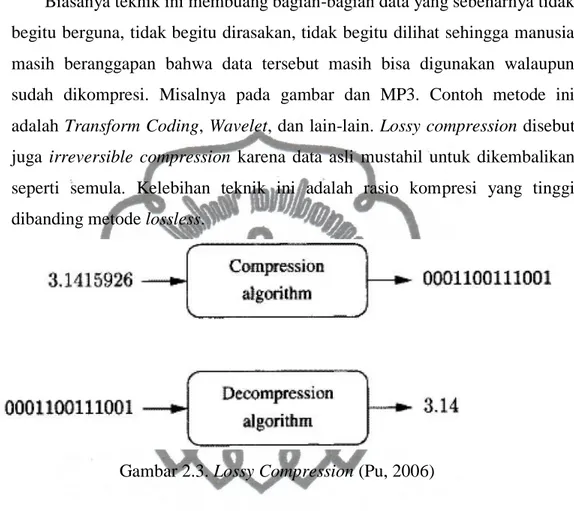 Gambar 2.3. Lossy Compression (Pu, 2006) 