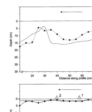 Fig. 7 continuedŽ ..